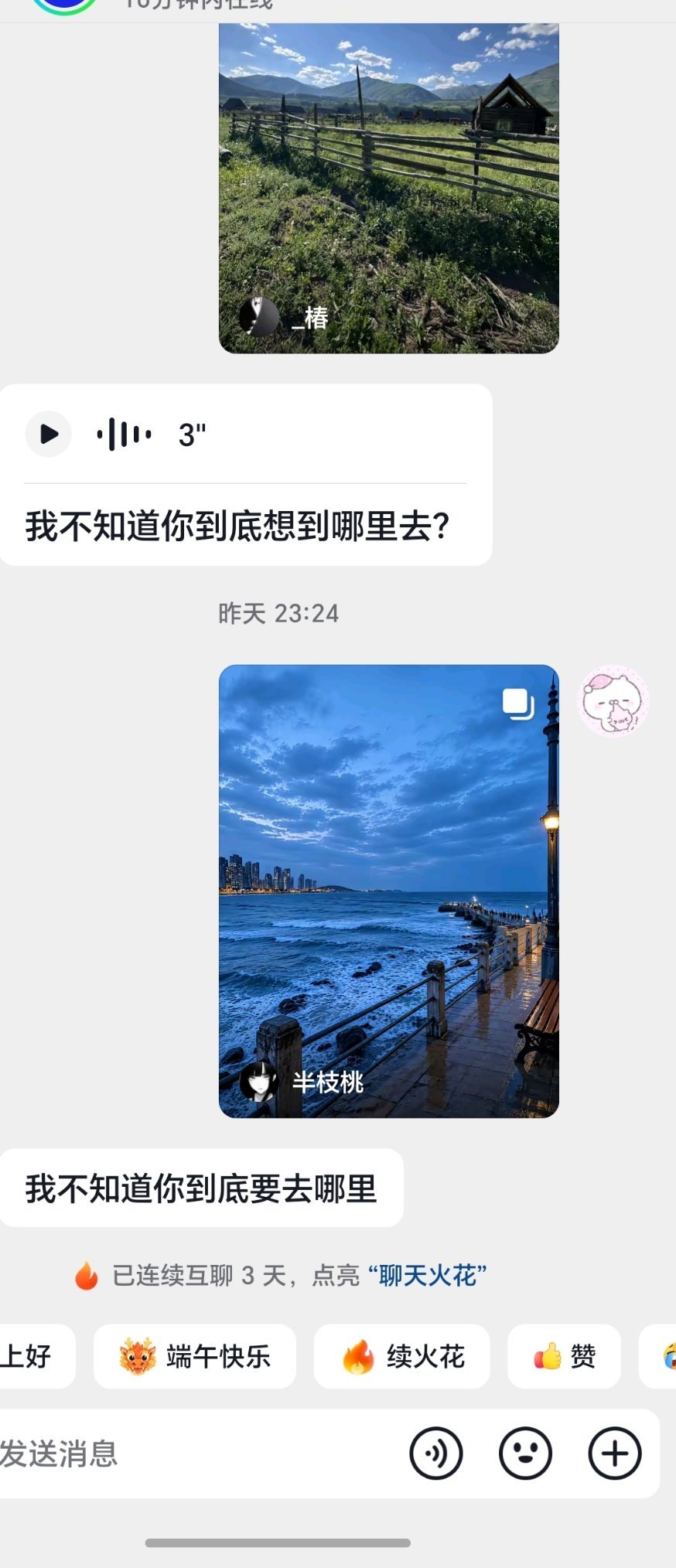 你们读不懂我的鱿鱼