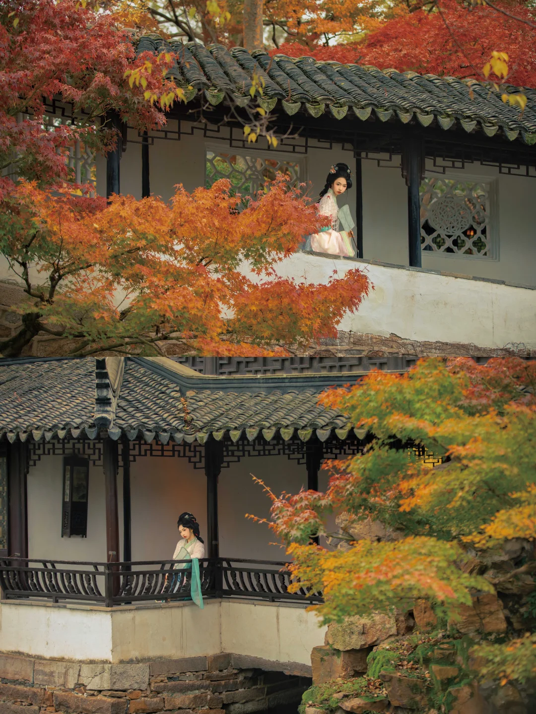 客｜橙黄橘绿的具象化🍂