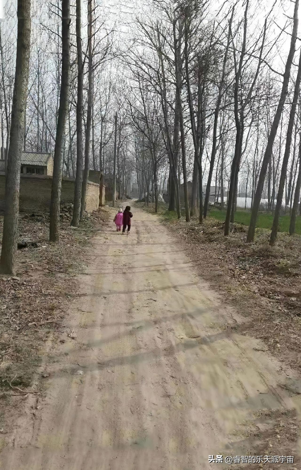 不知道是不是80、90后真的老了，就是特别喜欢这种泥土小路，还有路两边的杨树麦地