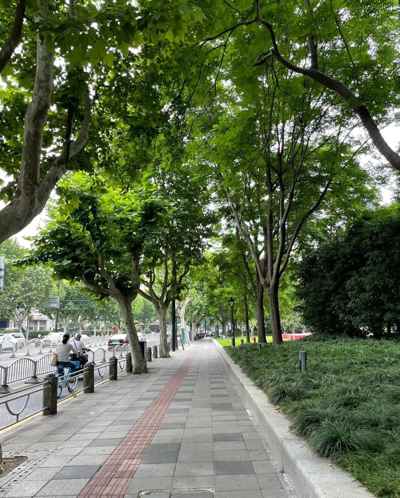 把孩子藏一藏，让他安安静静的成长比什么都重要

永远不要跟任何人谈论自己的孩子，