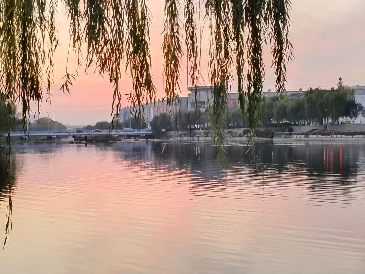 昨天下午四点多了出去遛弯，走到李村河底抬头一看太阳要下山了，已经躲到了高楼后面了