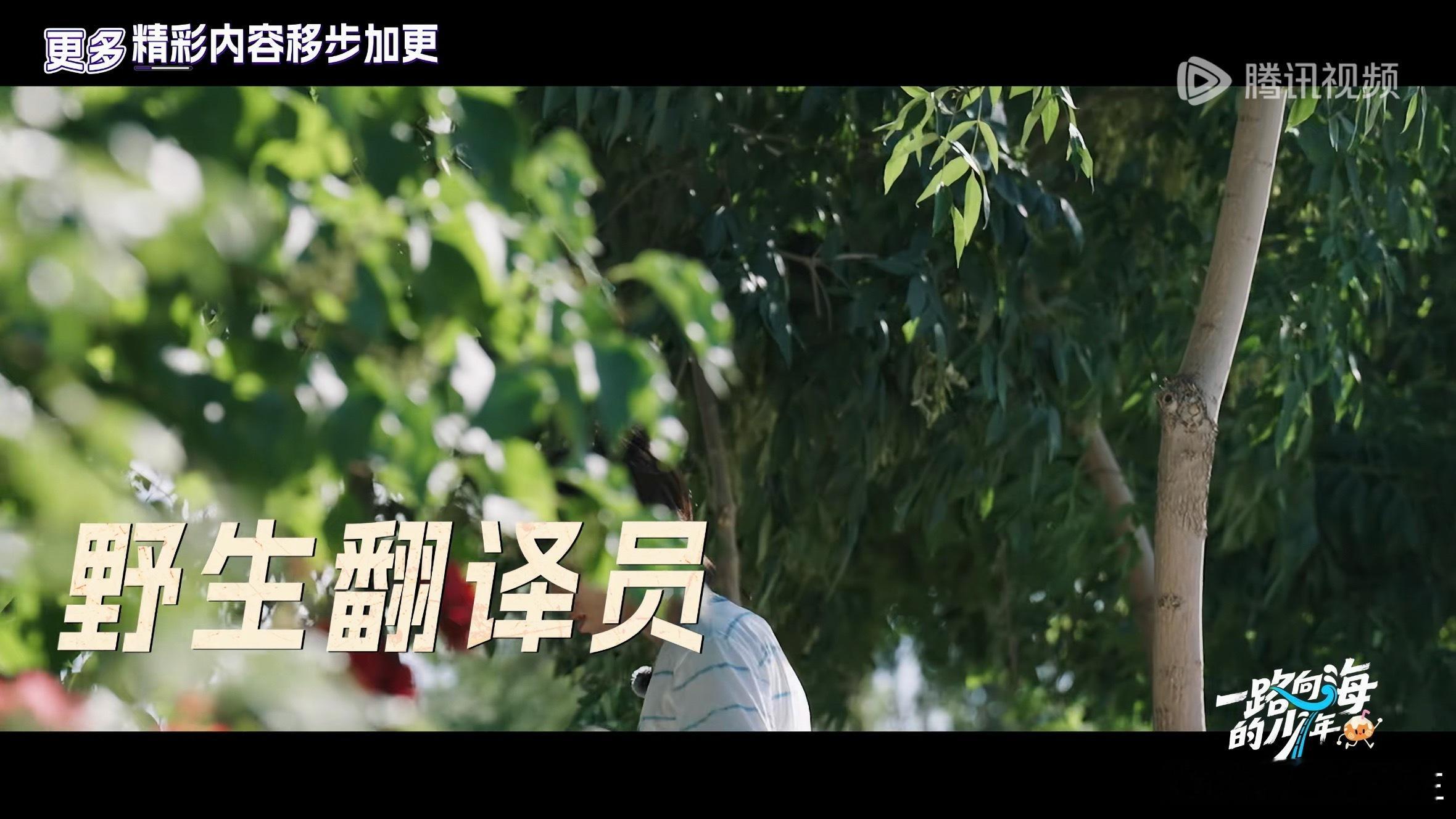 诶诶诶好阔耐好喜欢这个野生小精灵，我家野生小精灵