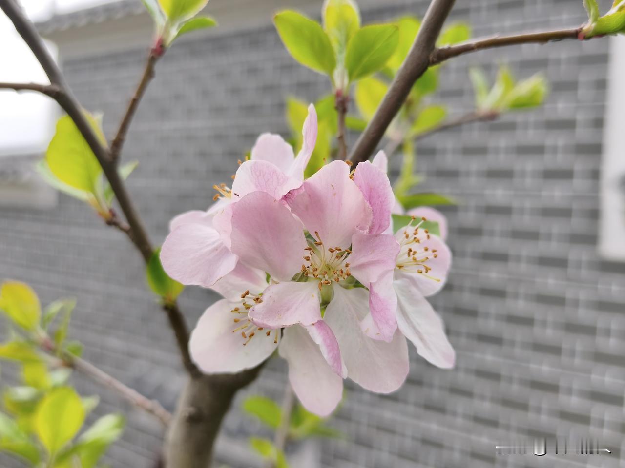 最好的结果都需要时间的发酵。当下的努力可能苦涩，像在酿酒；经历岁月沉淀后，终会散