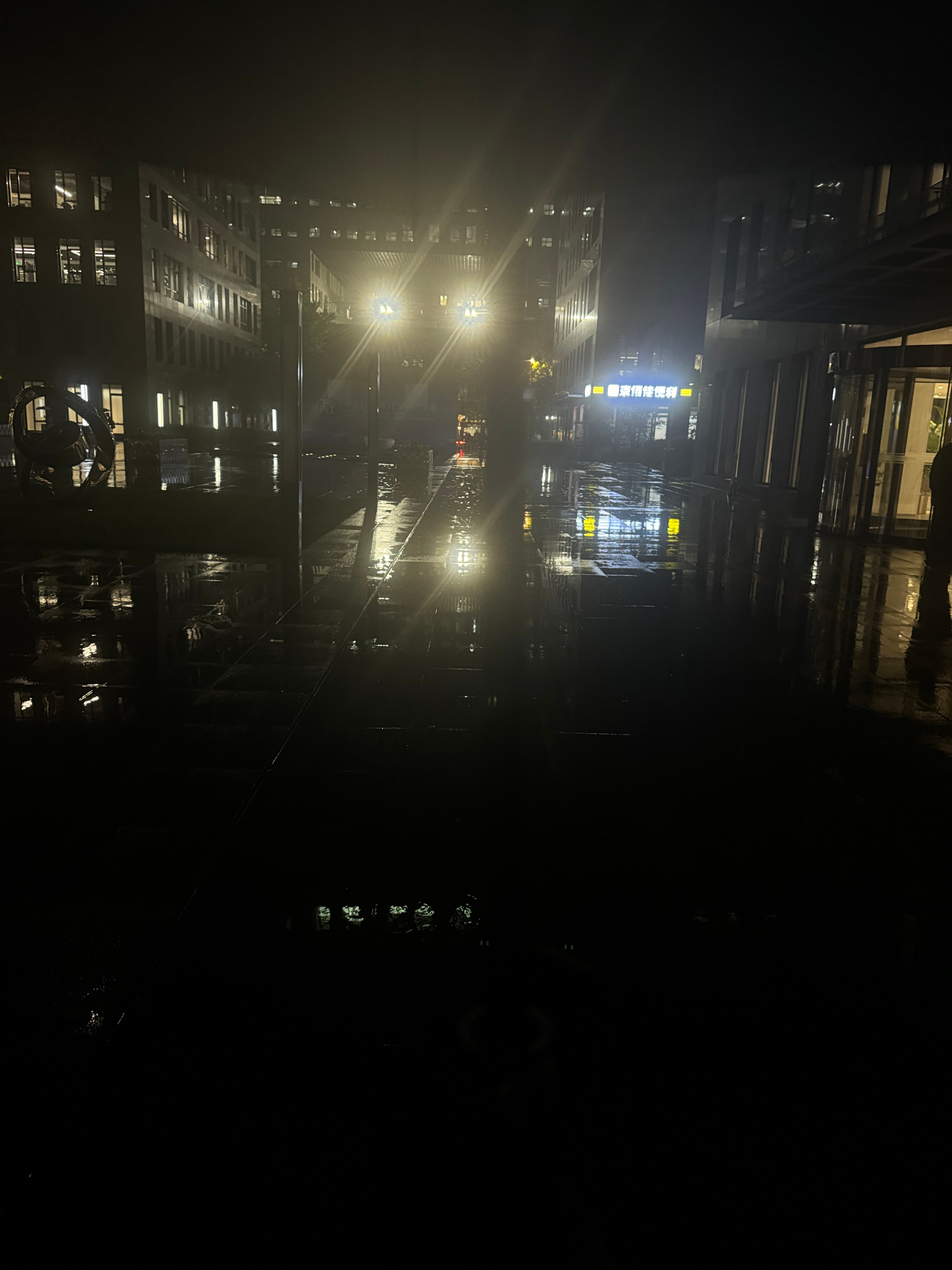 就让这大雨全都落下 