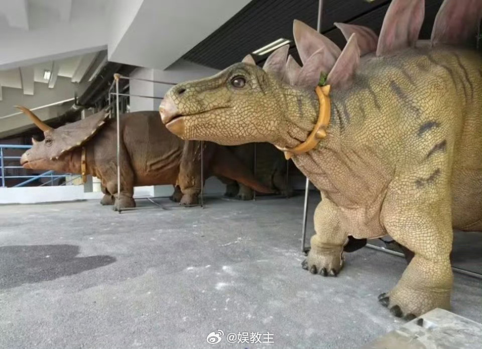 常州把恐龙搬到奥体助阵常州有龙则零 苏超南京队vs常州队，前面几场比赛也没看常州