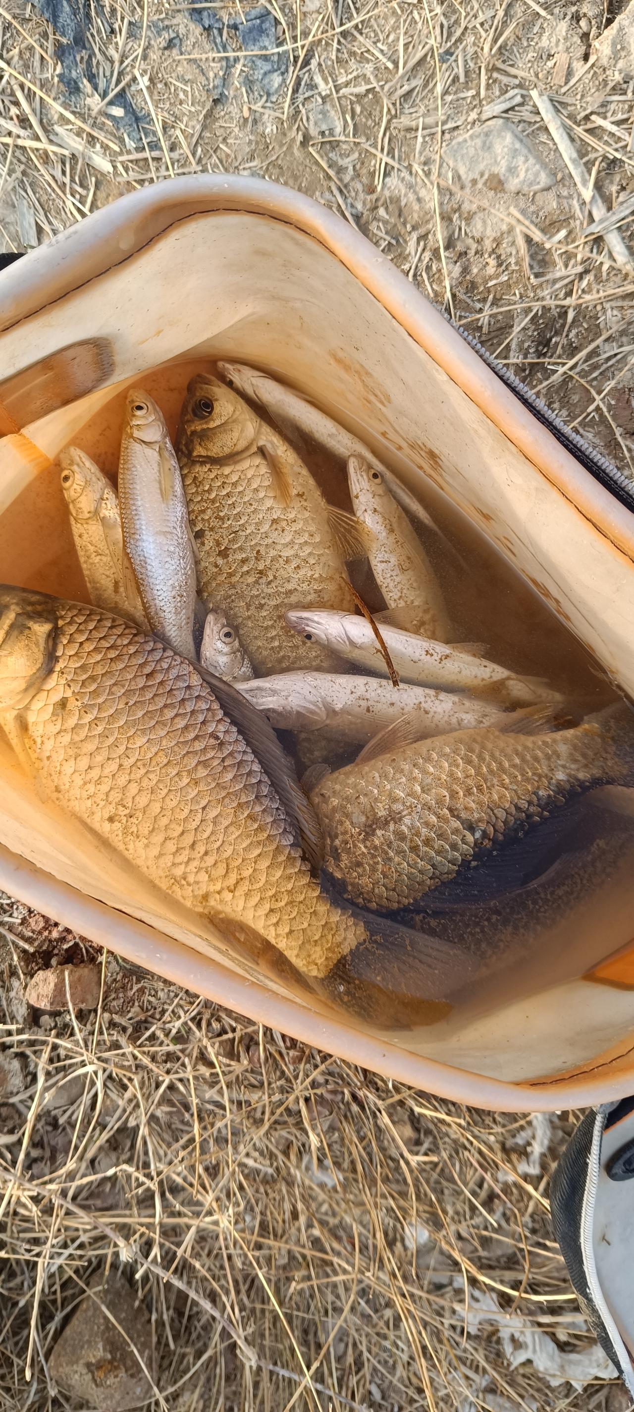 昨天钓鱼，今天在家里收拾，顺便换换土