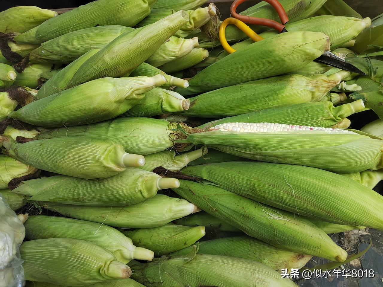 南京今天多云到晴，最高温度17℃，时至春分，云淡风轻，暖意渐升，体感舒适，今日白