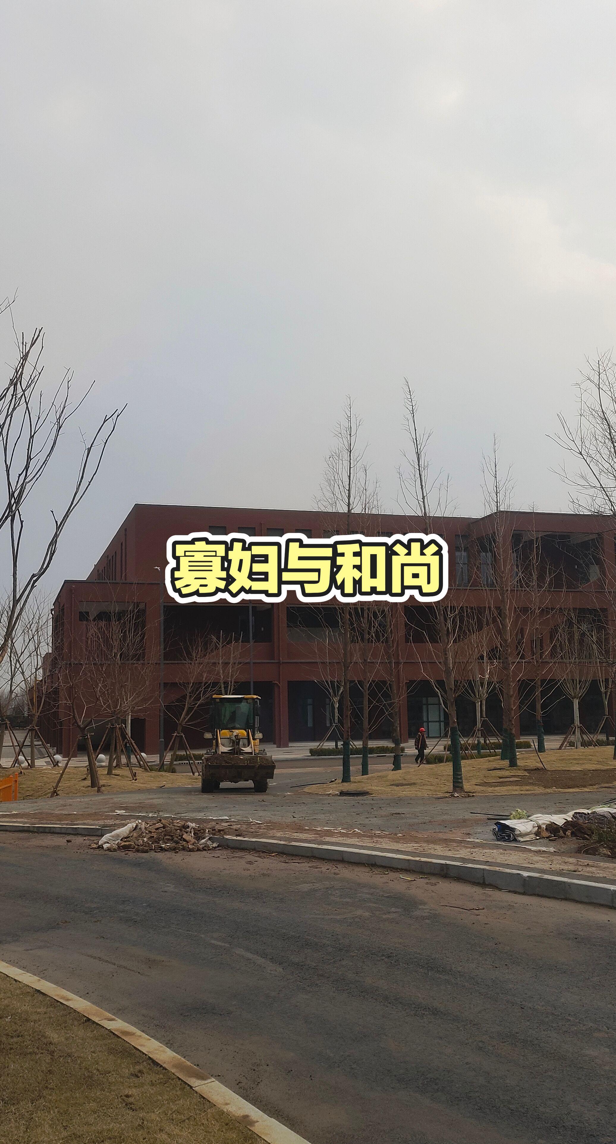解说