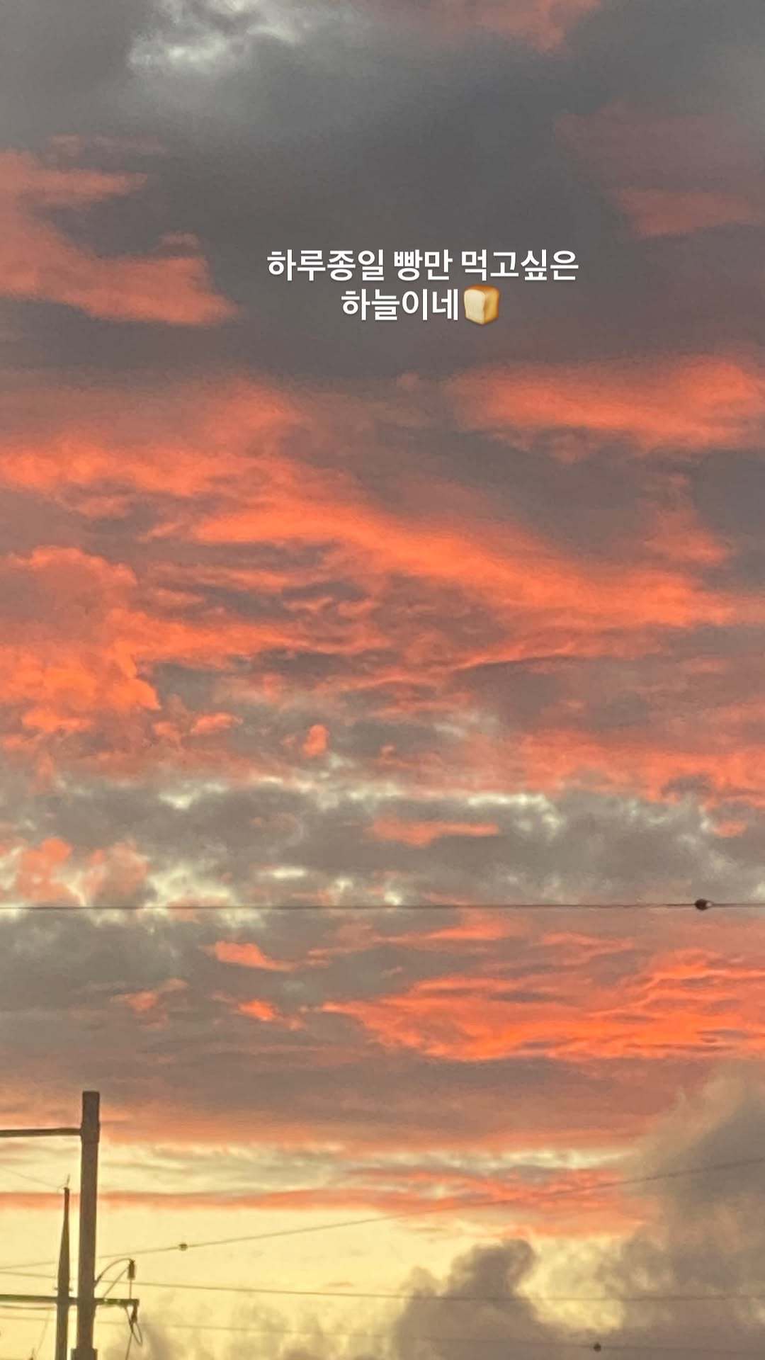 陈昱进  260822｜ins快拍更新🍞整天只想吃面包的天空啊🍞 