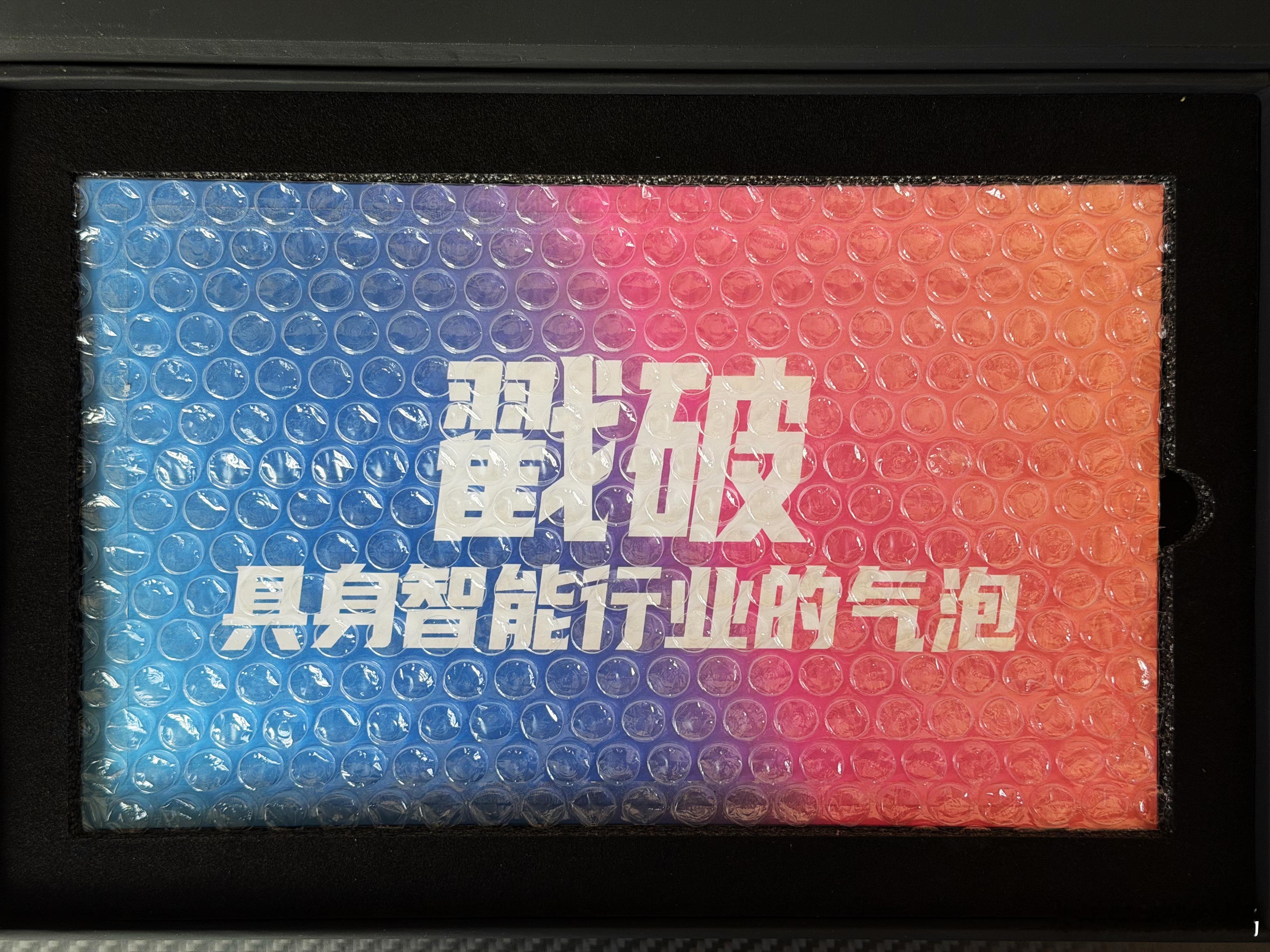 收到自变量邀请函，挺有创意，是一个卡针，要戳破具身智能行业的气泡，21号北京见，