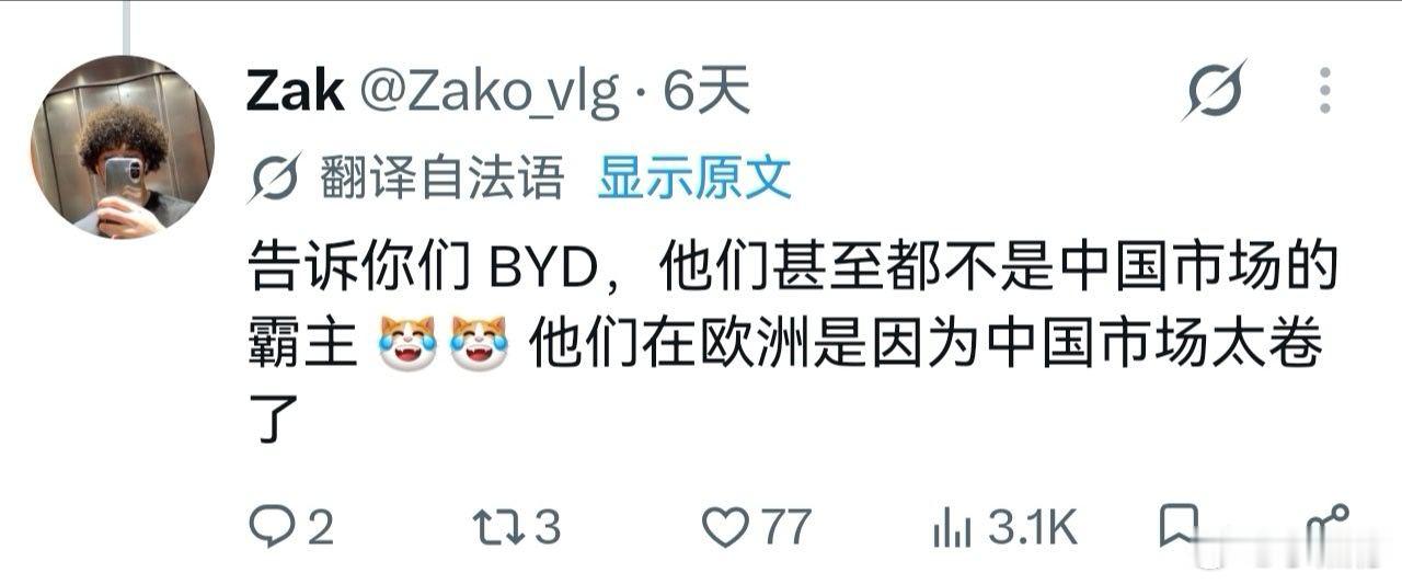 这哥们是断网几年了嘛？没查过BYD在中国销量？卖到法国，不只是因为内卷，而是你们