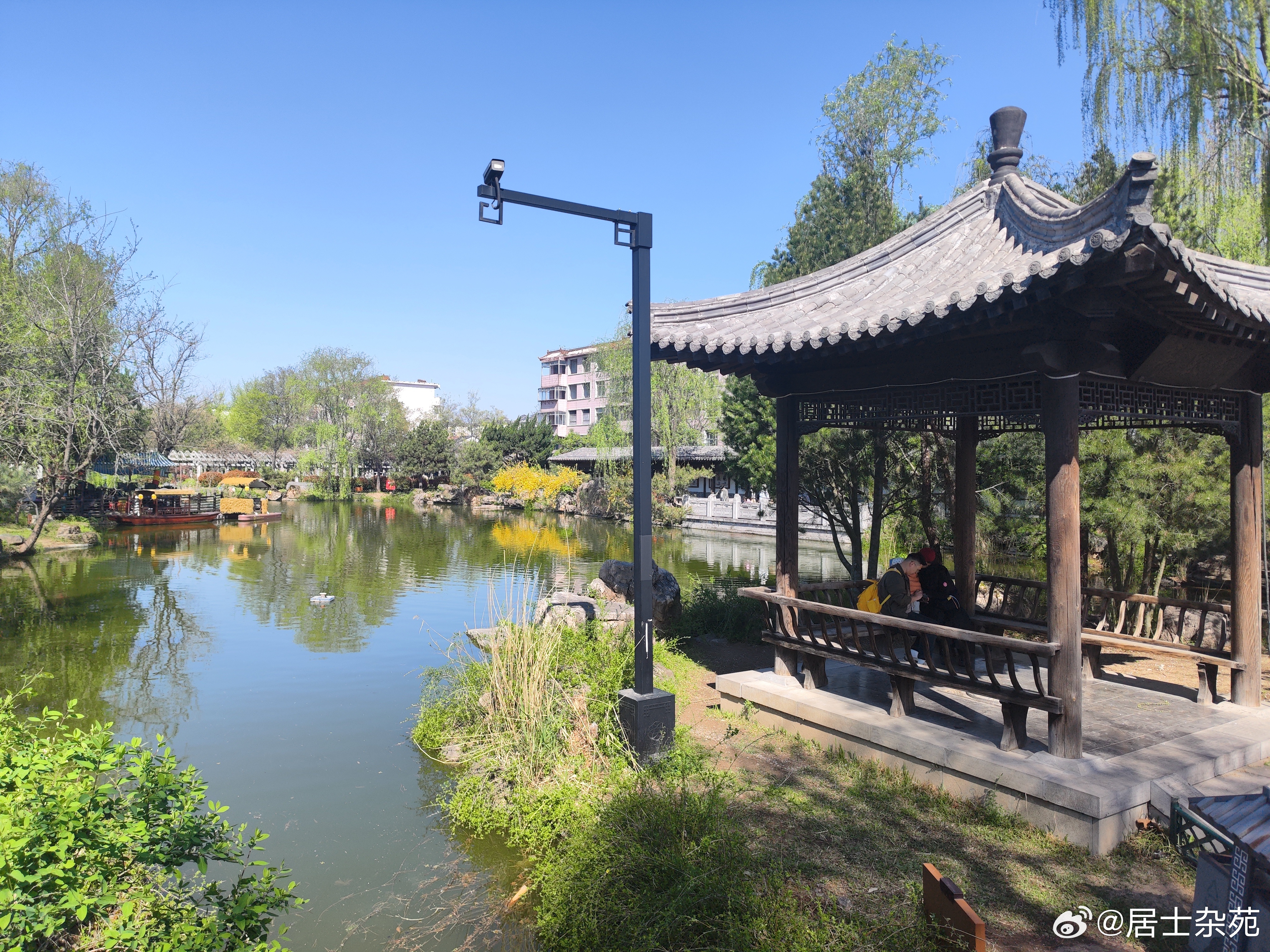 清新偶园昨晚的一场春雨过后，偶园这家北方私人园林更加清新脱俗，处处春意盎然，万物
