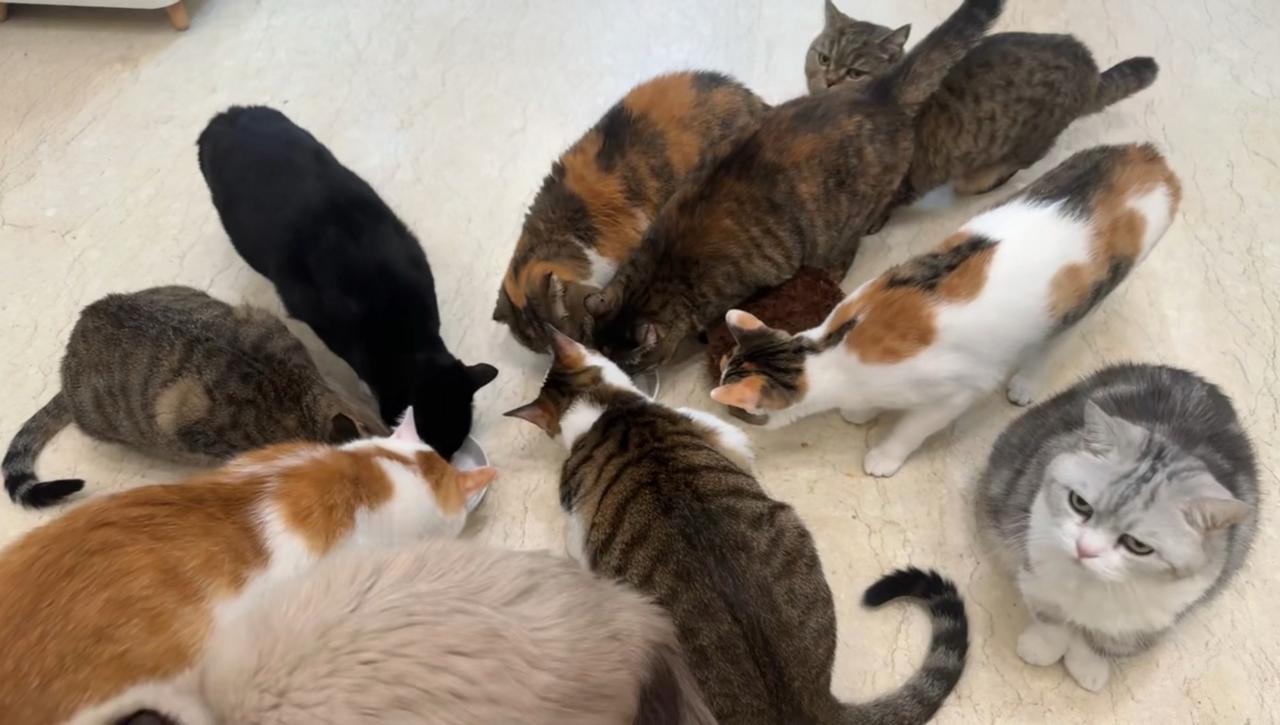 大户人家吃席的盛大场面