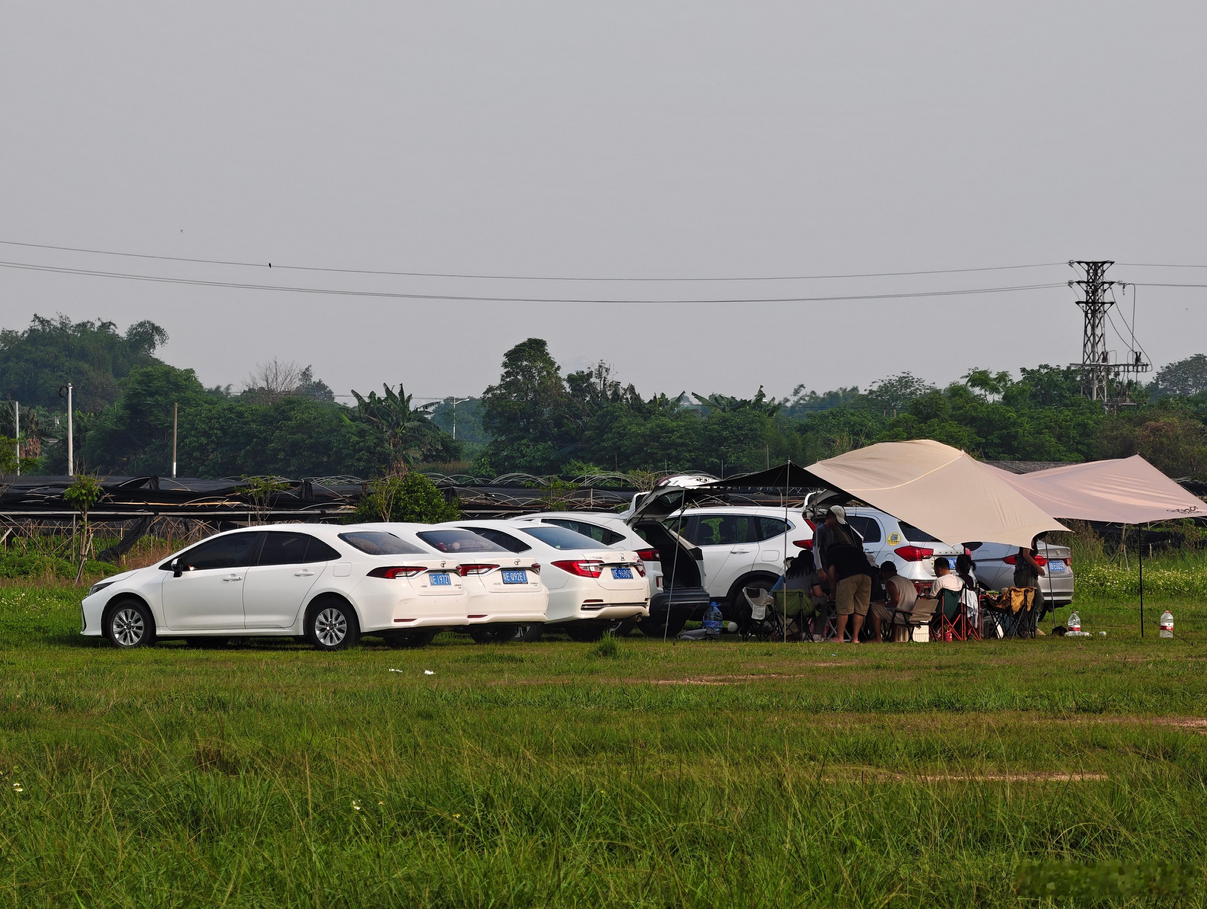 4台本田+2台丰田+1台哈弗这么庞大的全油车露营阵容，还是第一次见