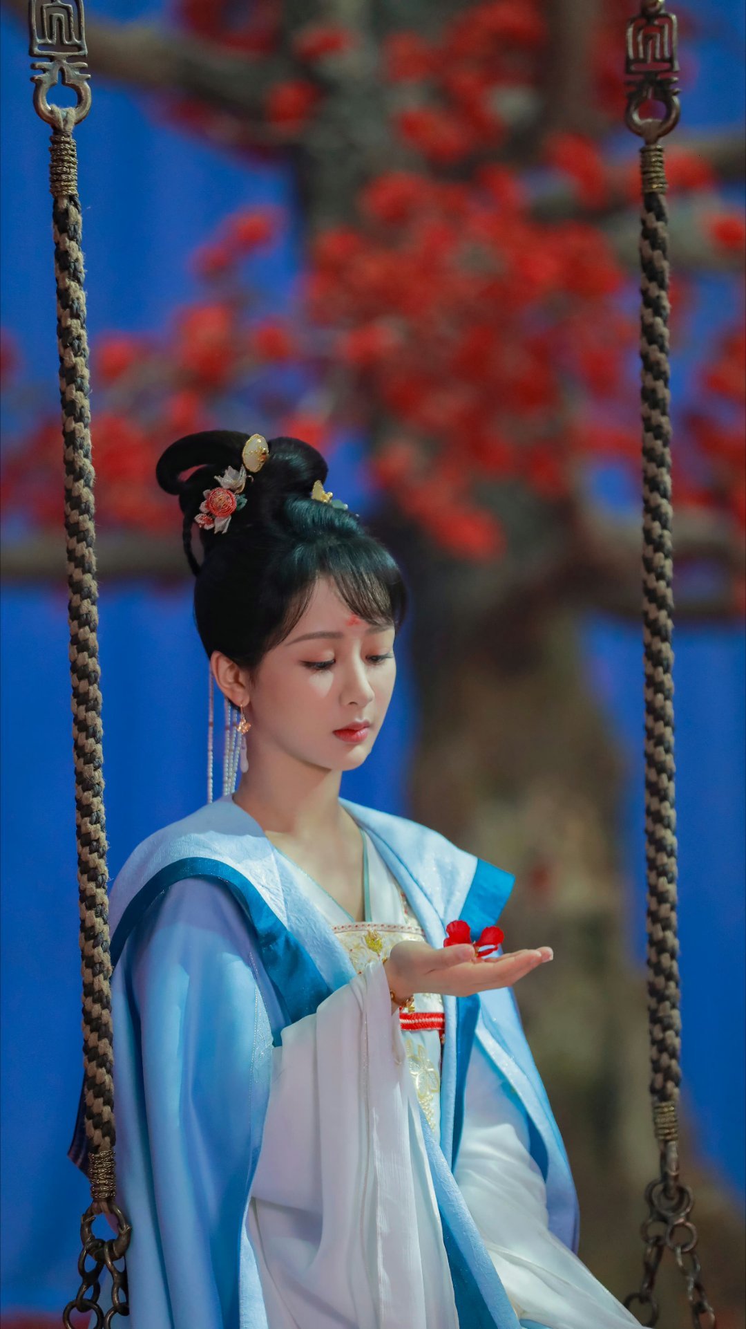 早早早杨紫董竹君 ，杨紫玉兰花开君再来