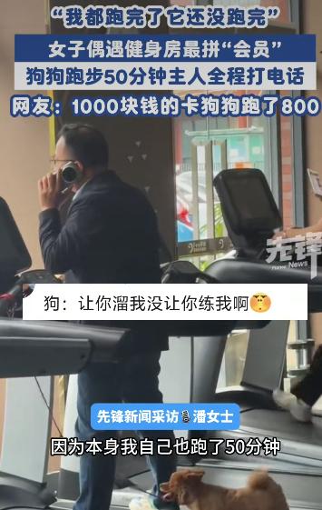 广东佛山某健身房里，一只小狗在跑步机上撒欢狂奔，后腿蹬得飞快，小爪子都快冒火星子