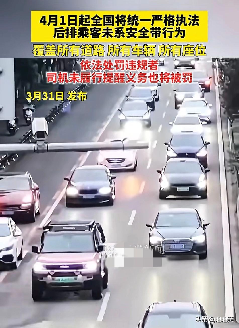 注意了

4月1日起

全国严查后排安全带，不管是城市道路还是高速

所有车辆、