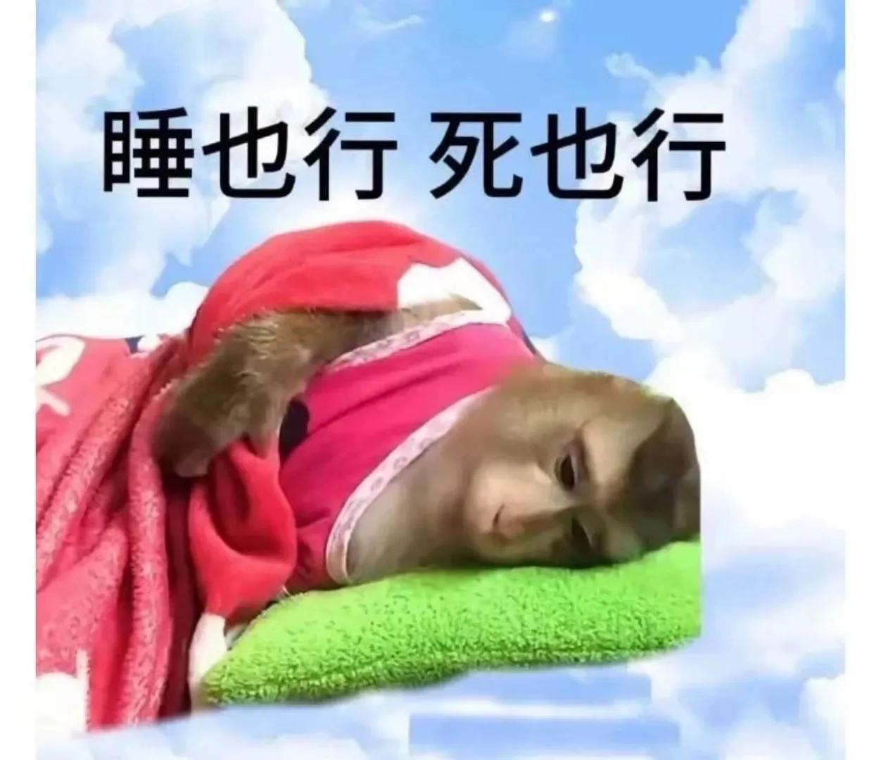 说你穷吧 你有班上 说你富吧 你口袋又没几个钱 说你懒吧 你又每天早出晚归的 也