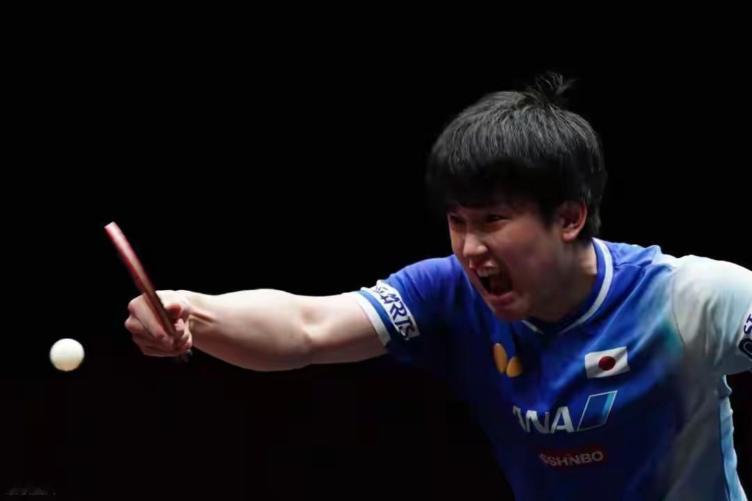 林诗栋鏖战7局不敌张本智和这场3比4的惜败，清晰地标定了林诗栋从顶尖高手迈向绝对