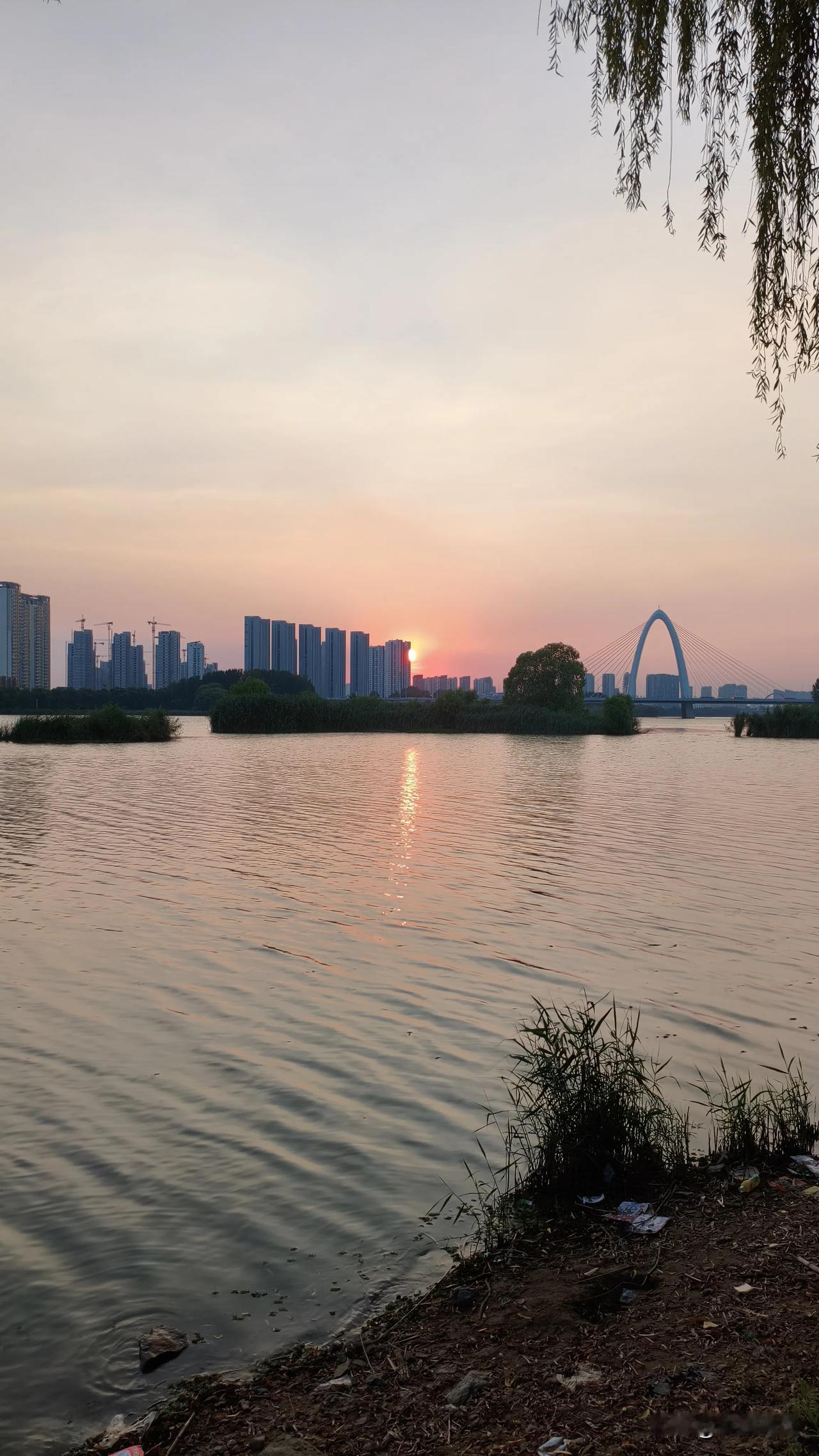 晒图笔记大赛夕阳无限好，只是近黄昏，明日还复来，多少又一天。