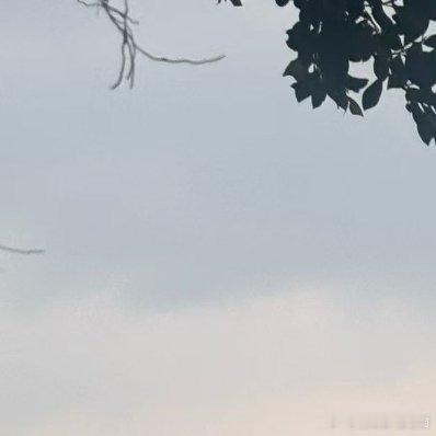 周三早安！世间不只有远方与诗篇，还有窗台的绿植，晨起侍弄，看光斑落在叶脉上，听水