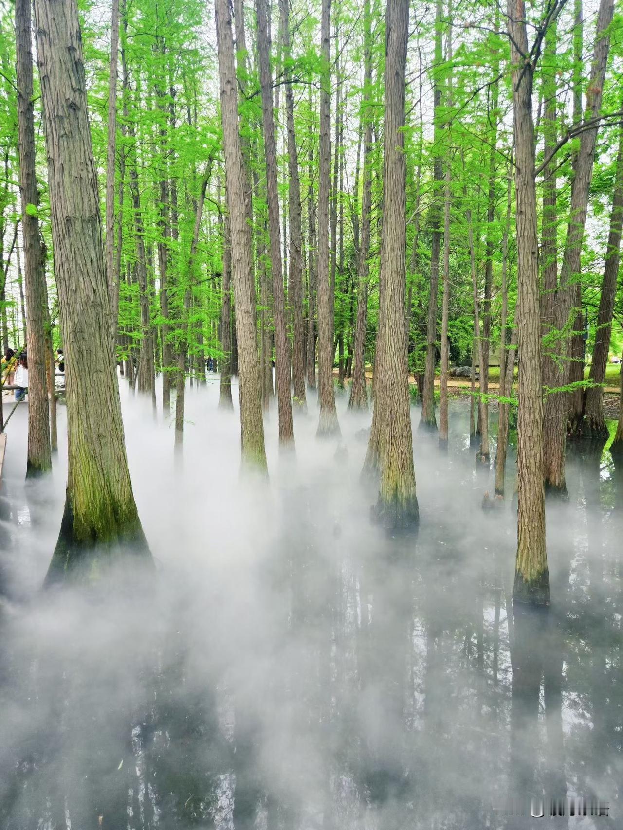 一个很牛的心理医生说：
想要运气好，就要记住这一条铁律
准到离谱，照着做，运势想