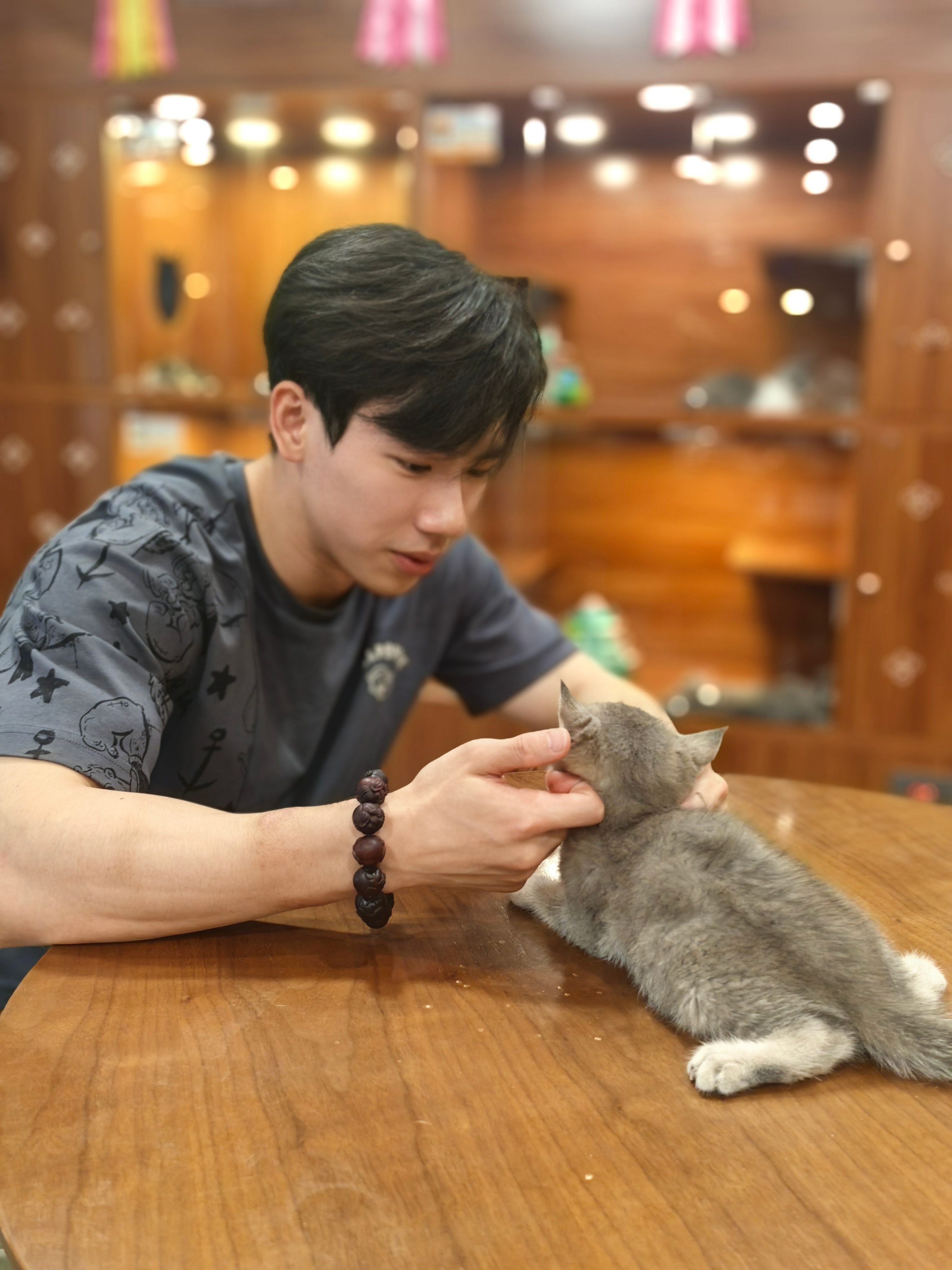 #羡慕张博恒抱着的猫# 萌宠集结号，#抓猫猫运动会#等你来！与万千网友一同集猫卡