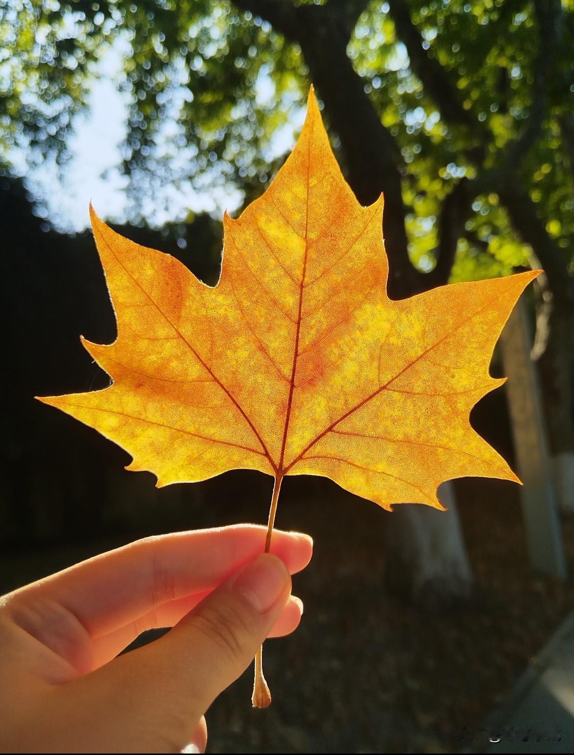 扫黄现场，
男子被抓还嘴硬：
不是交易，是一见钟情！警察亮出转账记录，他辩解是让