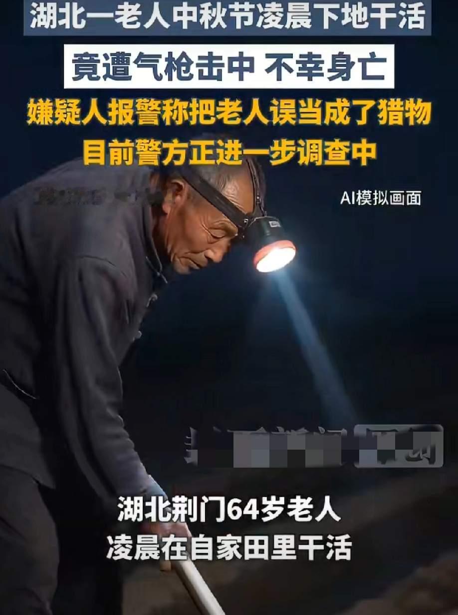 荆门非法持气Qing击中老人的男子，逃不过这3个结果！

1. 倾家荡产，牢底坐