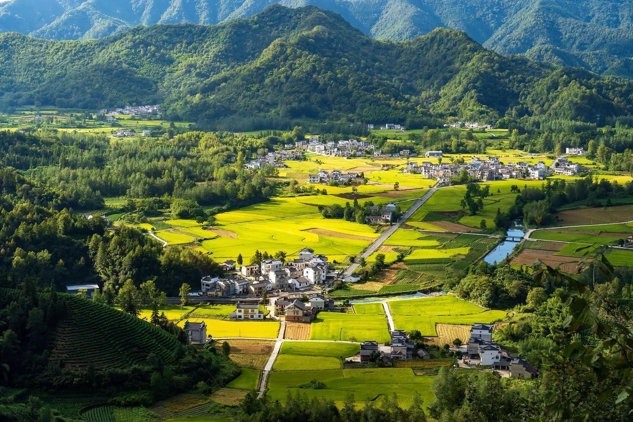 今天晚上碰到一个学生家长，他们家的女儿其实是非常优秀的，在初中的时候在班上都是数