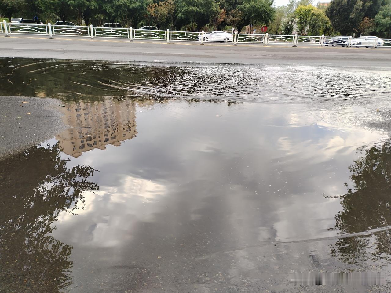 久旱逢甘霖啊。昨晚的雨是不是下的很大？我没有见识到有多大反正看这路口的积水感觉下