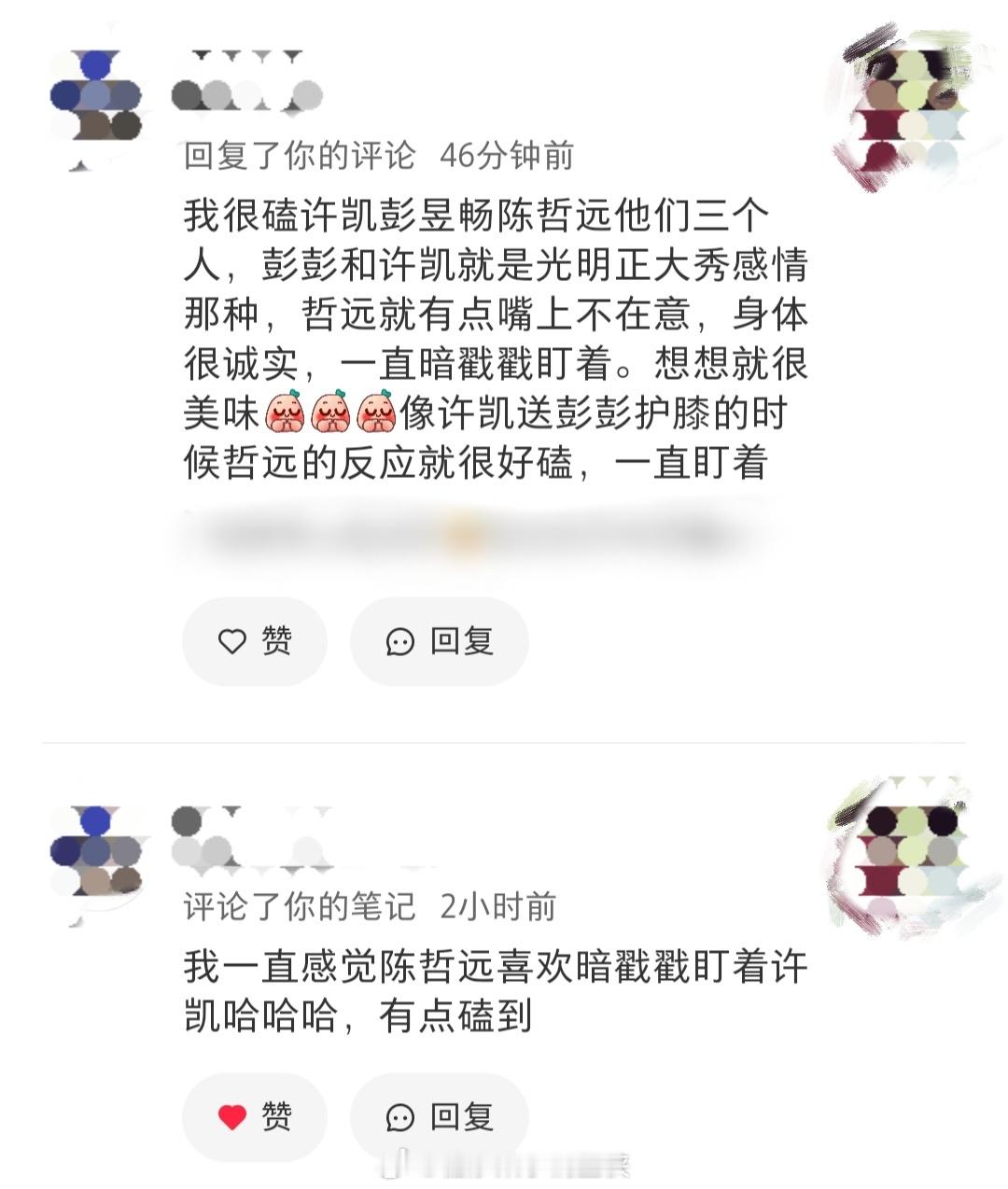 两个人一聊起来彭昱畅许凯陈哲远的换乘恋爱就聊美了🌚 