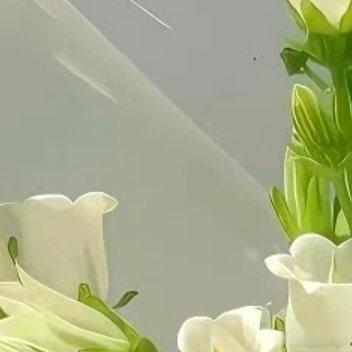 每日一善 🌷阳光信用路远未必难行，心定便可从容。人生就像登山，不在于一步登顶，
