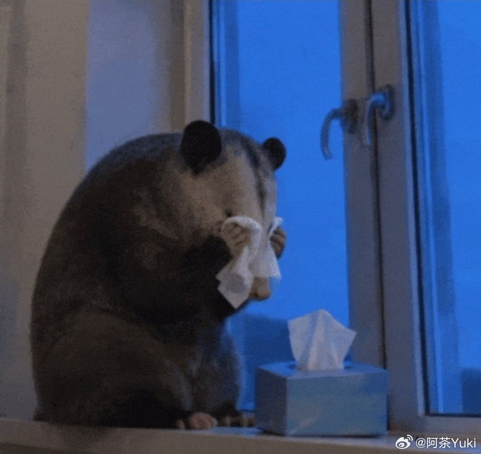 南部档案也看完了，又到了寡寡的日子，刘兄弟也不出来玩，新剧也没好看的