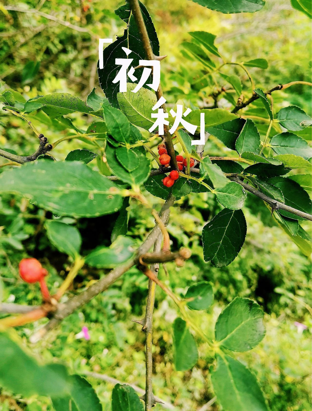 去哪里不重要
去才重要 ​​​
