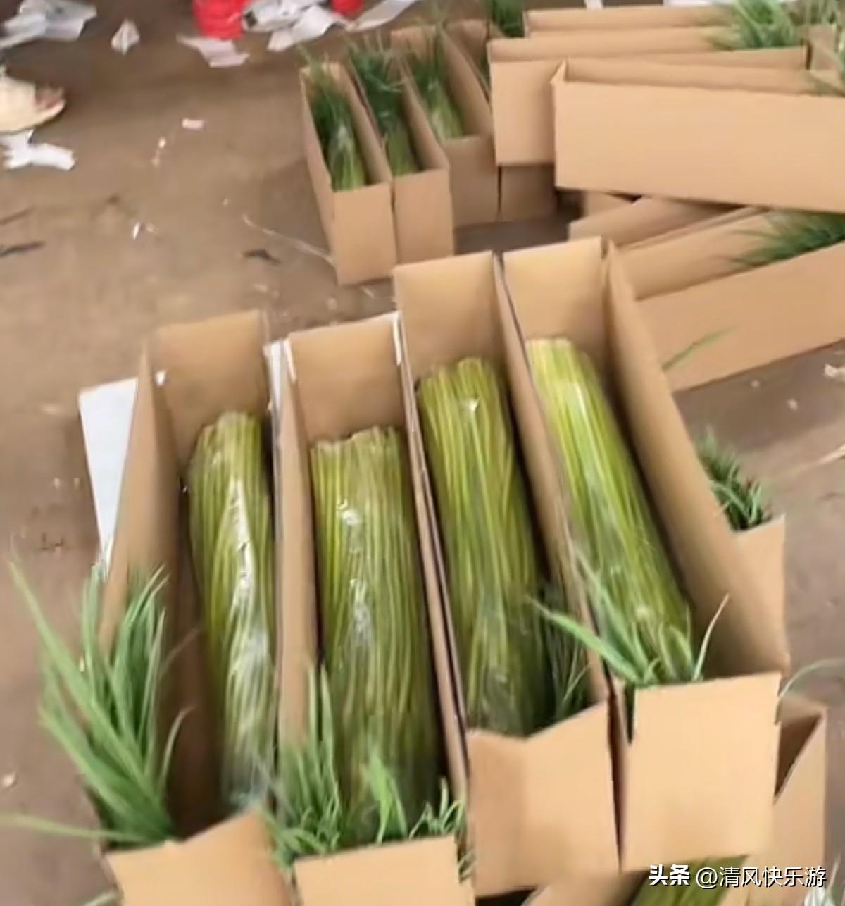 电商到底好不好做，我用亲身经历告诉你，我今年48岁，初中毕业，2018年开始做旅