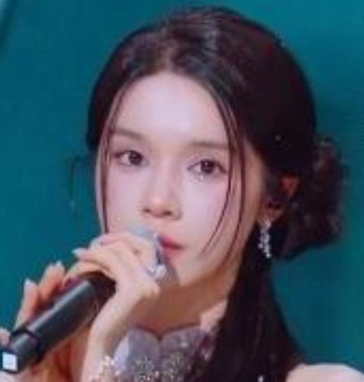 刘念和张翅在2026年浙江卫视春晚上合唱了《暮色回响》。两人作为短剧顶流CP，此