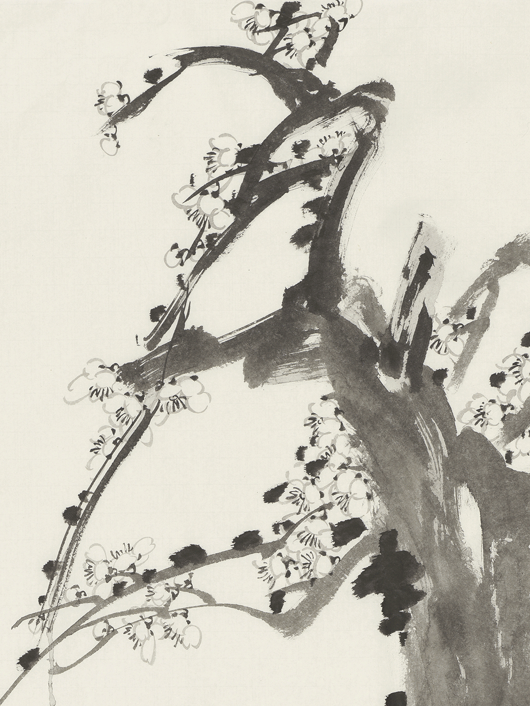 阴澍雨：琼枝缀玉丨鉴藏❀墨分五色，玉在其中。所谓风骨，是柔中带刚，是素里藏华。阴