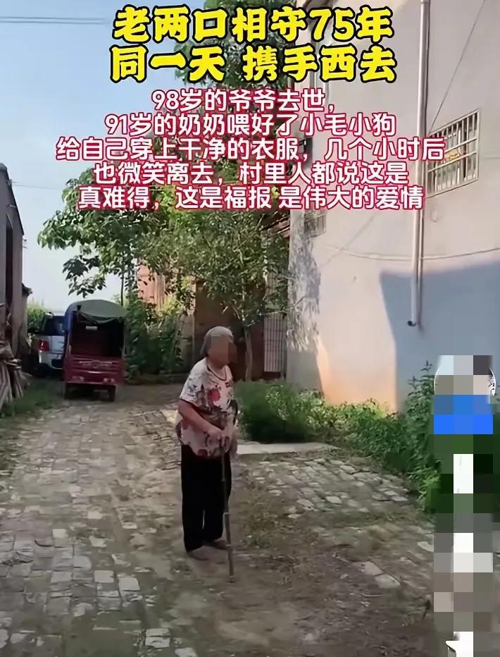 98岁的爷爷清晨安详离世，
91岁的奶奶没有哭泣，
平静地喂饱家中的猫狗，
换上