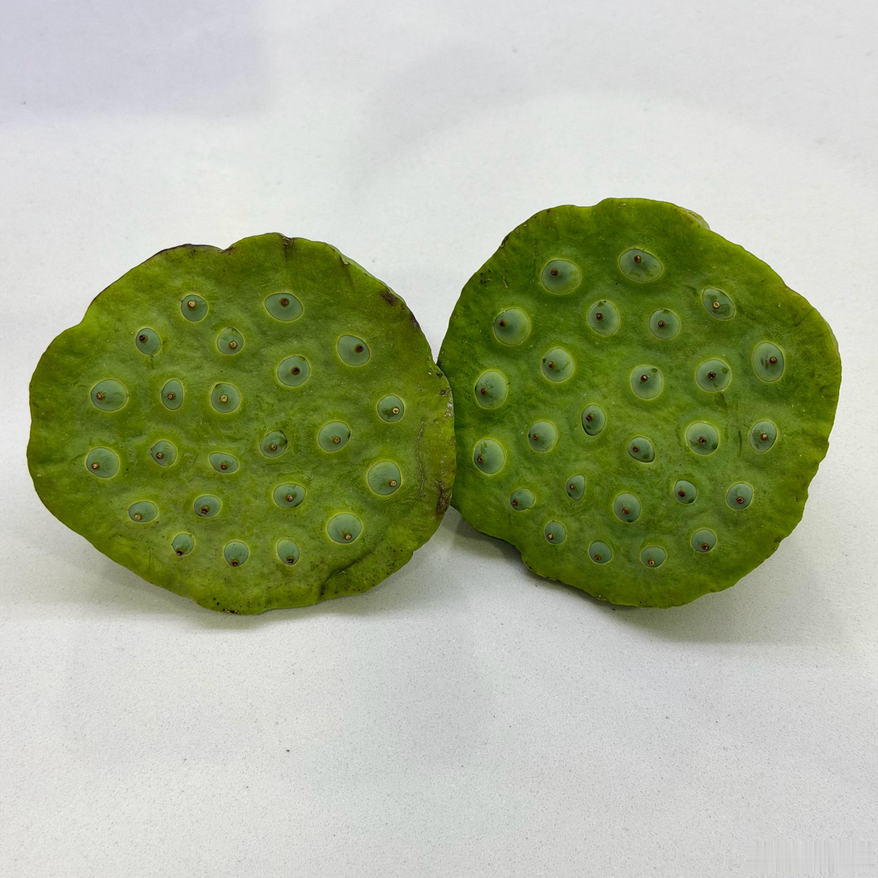 又到了吃鲜莲蓬的季节了夏日好运“莲莲”🪷 