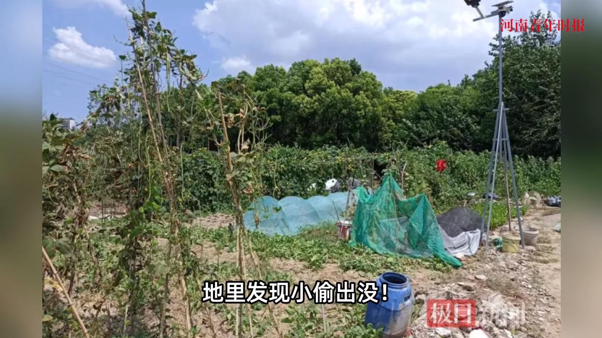 “太缺德了！”8月17日，安徽合肥，两位年轻女子趁着凌晨3点人少的时候，偷偷来到