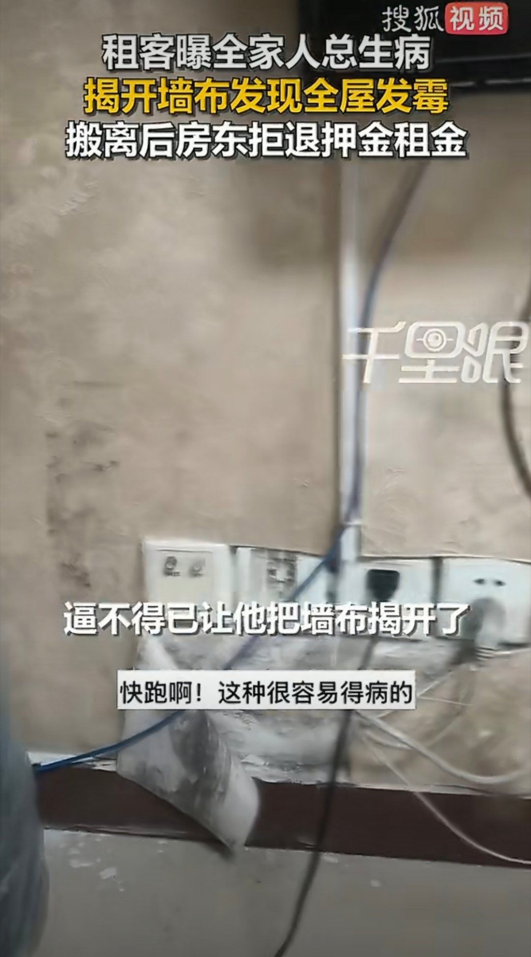 租客曝全家总生病揭开墙布全屋发霉租房子最怕就是租到凶房子以及霉菌房，这个房东也是