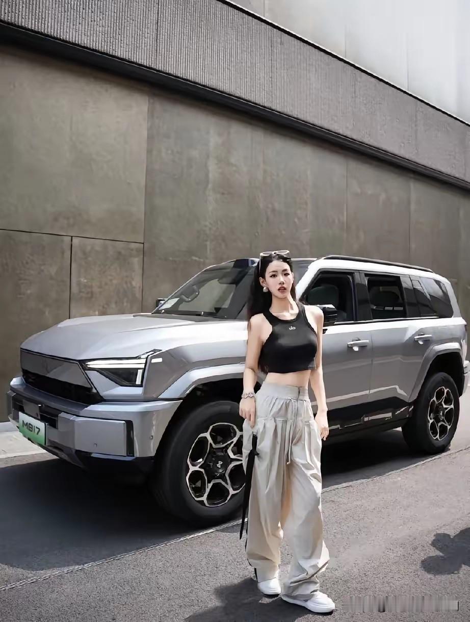 年 4 月双方战略合作 2.0 全面升级，从单一赋能到全维共创。
猛士 M817