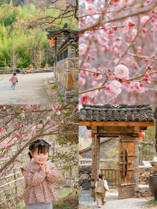 武汉周边避世古村❗️漫山遍野梅花简直美翻🌸