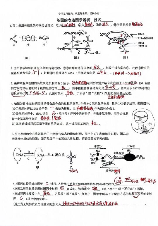 做会这些专项练习，生物必修二无敌了