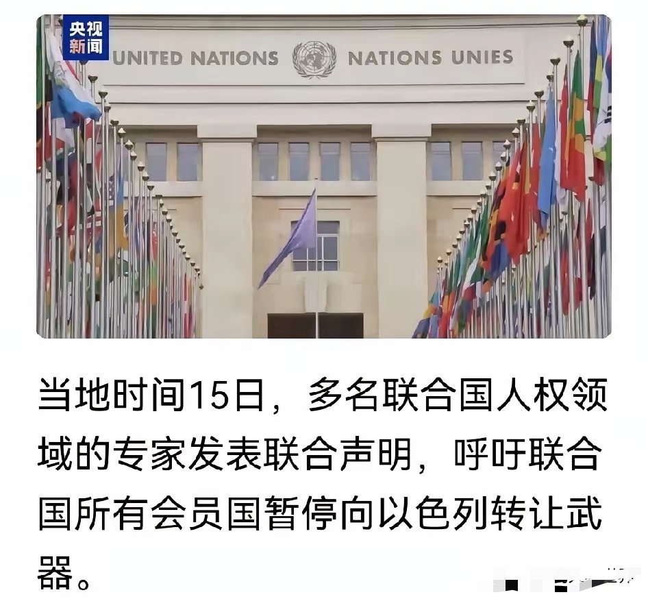 联合国专家呼吁，全世界所有国家停止向以色列供应武器，给杀人犯递刀算是同伙！美伊以