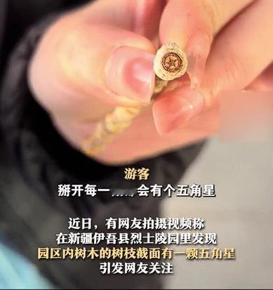 太神奇了！新疆一女子去瞻仰烈士陵园，随手捡到一根树枝，掰开后竟然发现了“五角星”