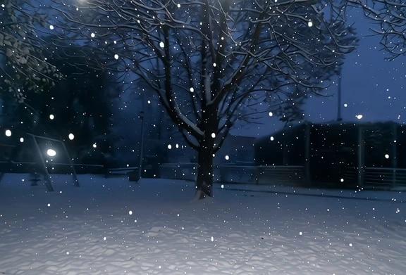 雪花动态背景图
初雪的记忆 朋友圈动态背景 朋友圈背景视频 动态背景图 雪一落就