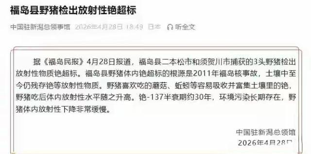 几头野猪撕碎日本所有谎言！4月29日，一则重磅官方通报震惊全网，持续了整整十五年