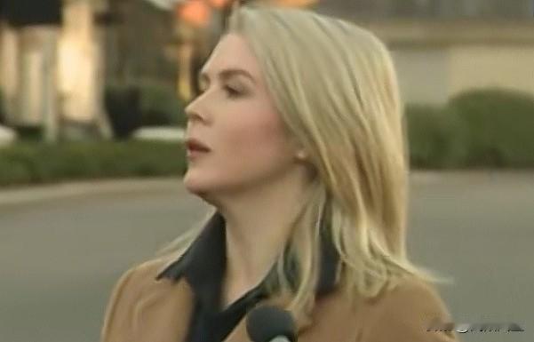 白宫新闻发言人卡罗琳·莱维特:“任何关于美利坚合众国未平等接触交战双方以结束战争